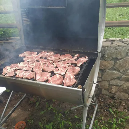 Pensiunea Carma Guest house Certeju de Sus