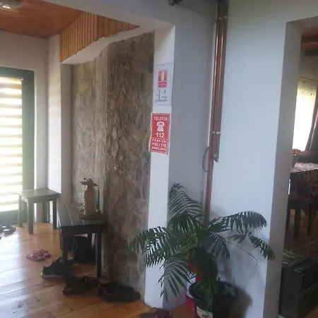 Pensiunea Carma Guest house *