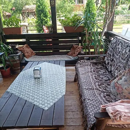 Pensiunea Carma Guest house Certeju de Sus