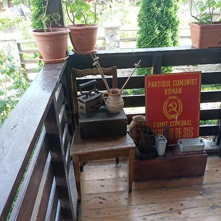 Pensiune Pensiunea Carma *