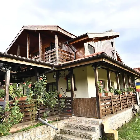 Pensiunea Carma Guest house