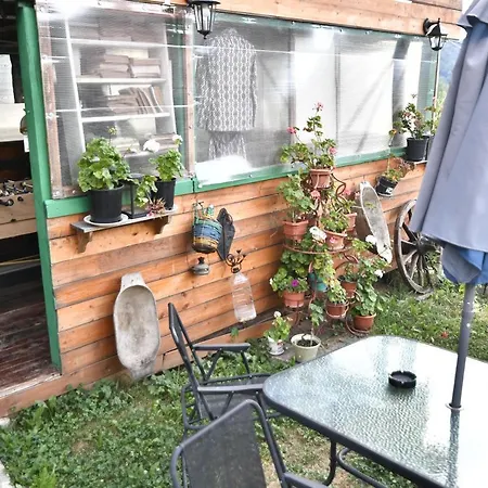 Guest house Pensiunea Carma