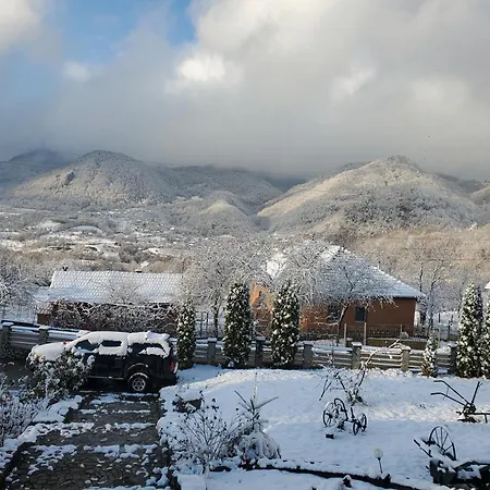 Pensiunea Carma Guest house Certeju de Sus