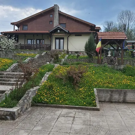 Pensiunea Carma Guest house