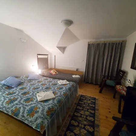 Guest house Pensiunea Carma