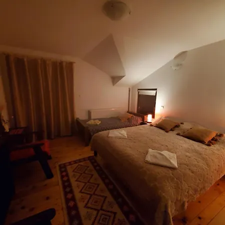 Pensiunea Carma Guest house *