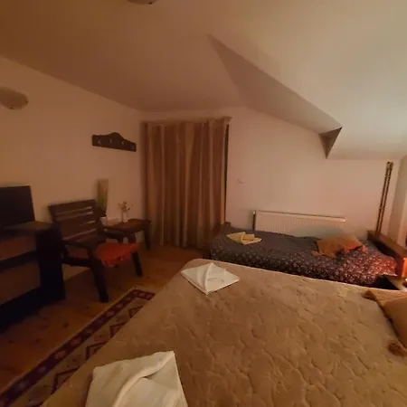 Guest house Pensiunea Carma *