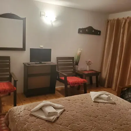 Guest house Pensiunea Carma