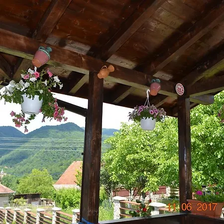 Guest house Pensiunea Carma Certeju de Sus