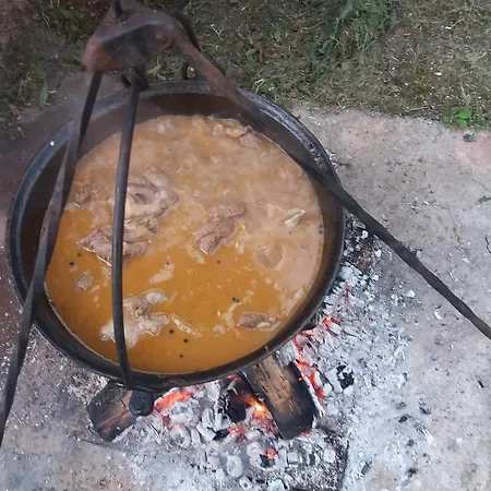 Pensiunea Carma Pensiune *