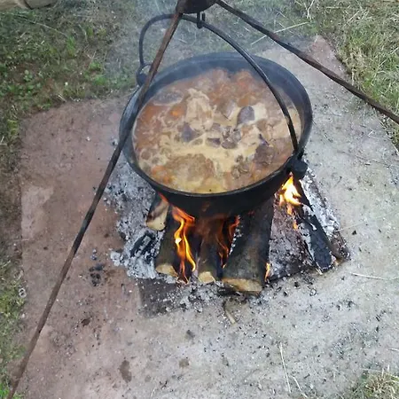 Pensiune Pensiunea Carma Certeju de Sus